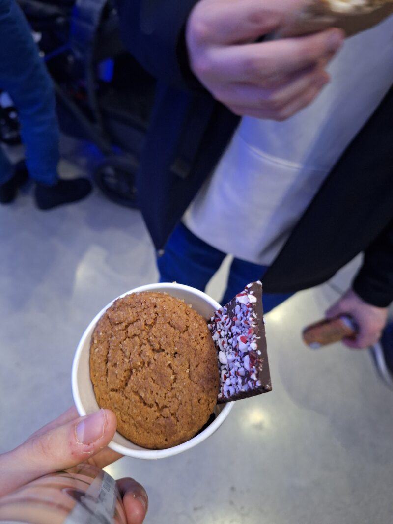 A small cup full of desserts, with chocolate peppermint bark and a gingerbread cookie visible on top