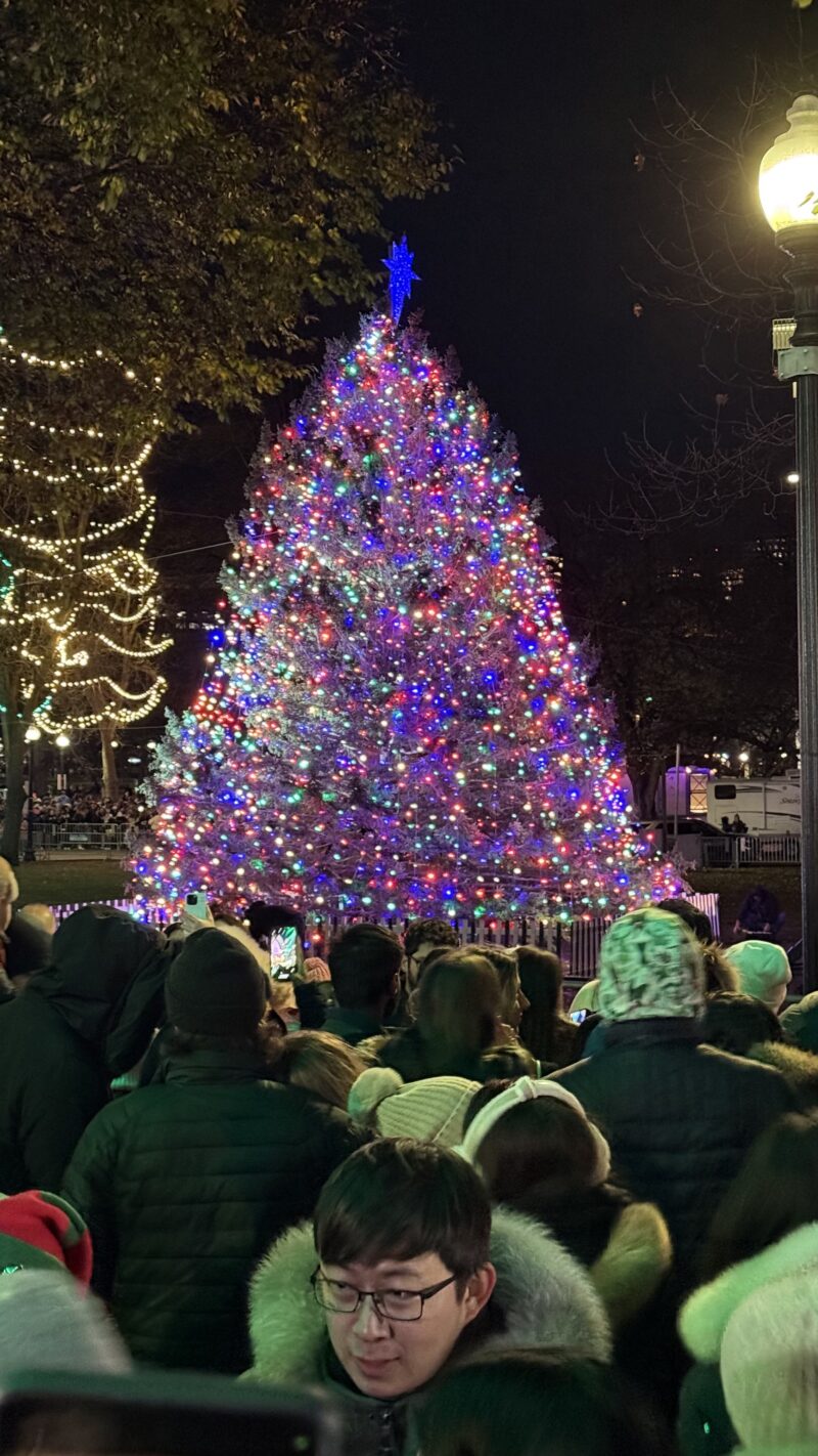 A 45-foot Christmas tree from Nova Scotia, decorated with Christmas decorations and lit.
