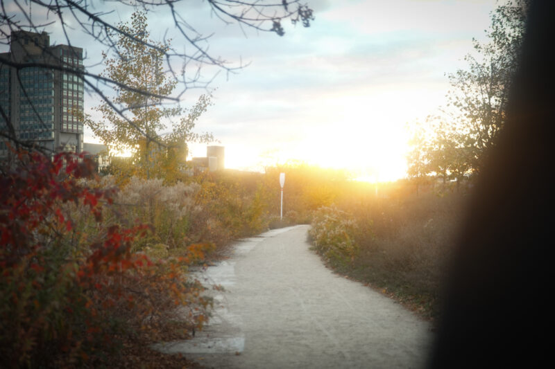 Another photo of the Boston Sunset.