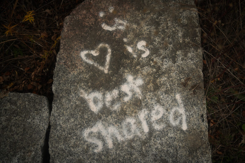 Rock that reads