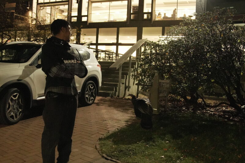 Photo of student posing with a turkey roaming freely on campus.