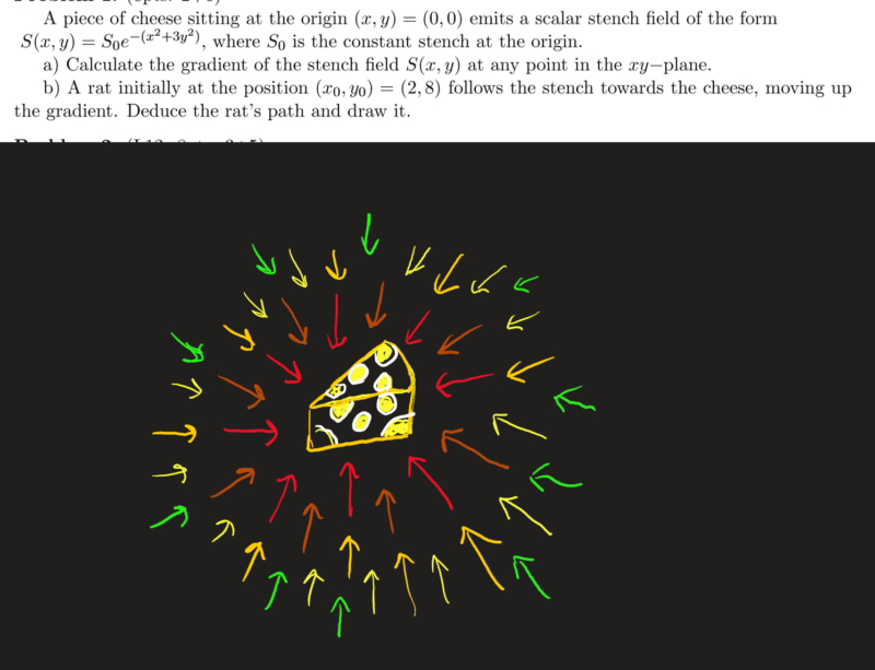 Photo of a math problem asking students to calculate the gradient of a stench field emitted by cheese and deduce the path of a rat who follows that gradient.