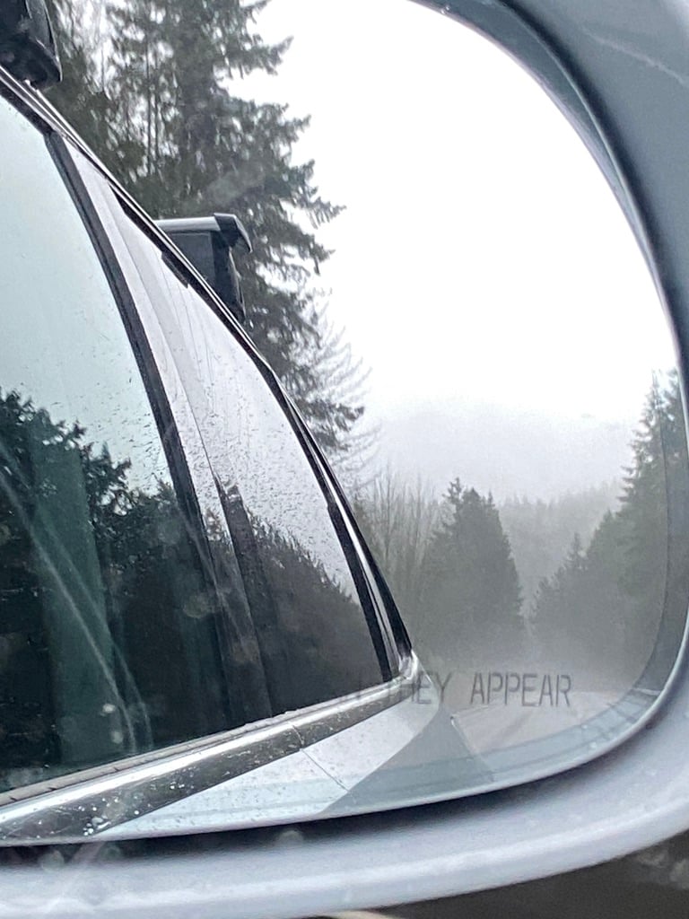 rearview mirror, foggy mountains