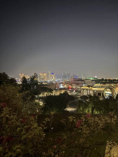  The image captures a panoramic view of a city skyline at night, showcasing several high-rise buildings illuminated in various colors with a dominant blue and warm yellow glow. The foreground consists of vibrant, blooming pink flowers against dark green foliage, positioned in the lower third of the frame, with the cityscape occupying the upper two-thirds. The sky is a gradient transitioning from a deep blue at the horizon to dark at the top, indicating a tranquil night ambiance.