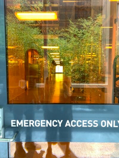 glass window showing reflection of trees, inside there is a long hallway