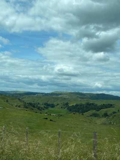 rolling green hills, blue skies, and windmills