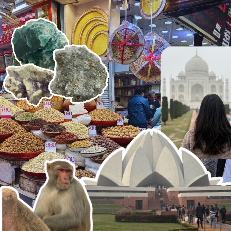 A collage of scenes from India: A bustling spice and dry fruit market with neatly arranged piles of nuts and spices, each labeled with price tags. In the background, vendors are engaging with customers. A cutout of a woman facing away from the camera, standing in front of the Taj Mahal, adds an element of admiration and travel. The Lotus Temple in Delhi, a modern architectural marvel, is also included. Natural elements are represented by three crystal-like mineral specimens placed over the market scene, and a monkey sitting on a stone, looking into the distance.