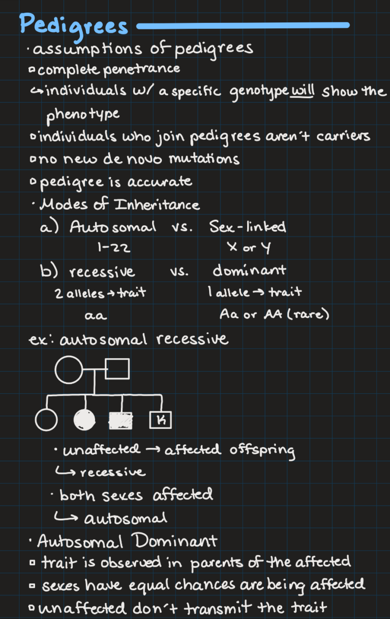 IPad notes from a genetics class on pedigrees.