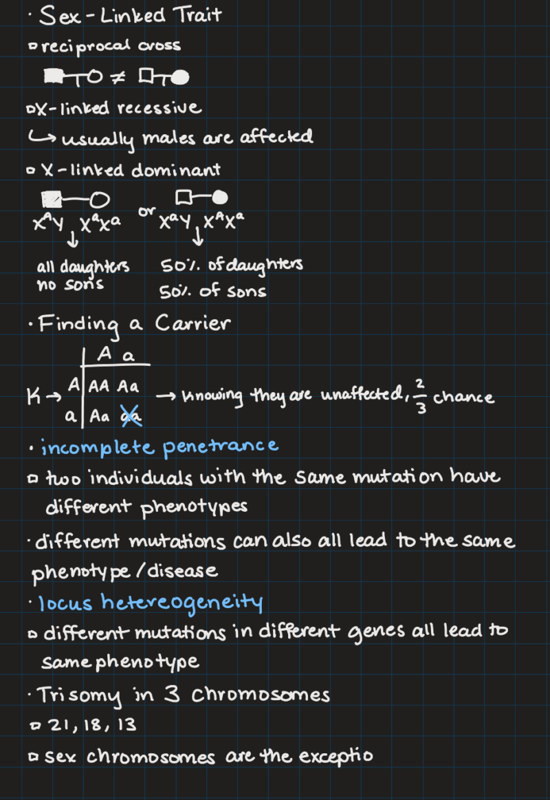 IPad notes from a genetics class on sex-linked traits.