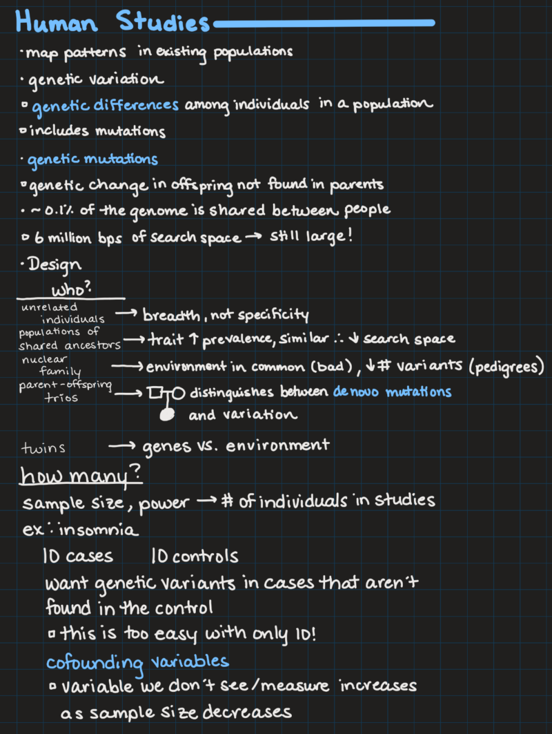 IPad notes from a genetics class on
