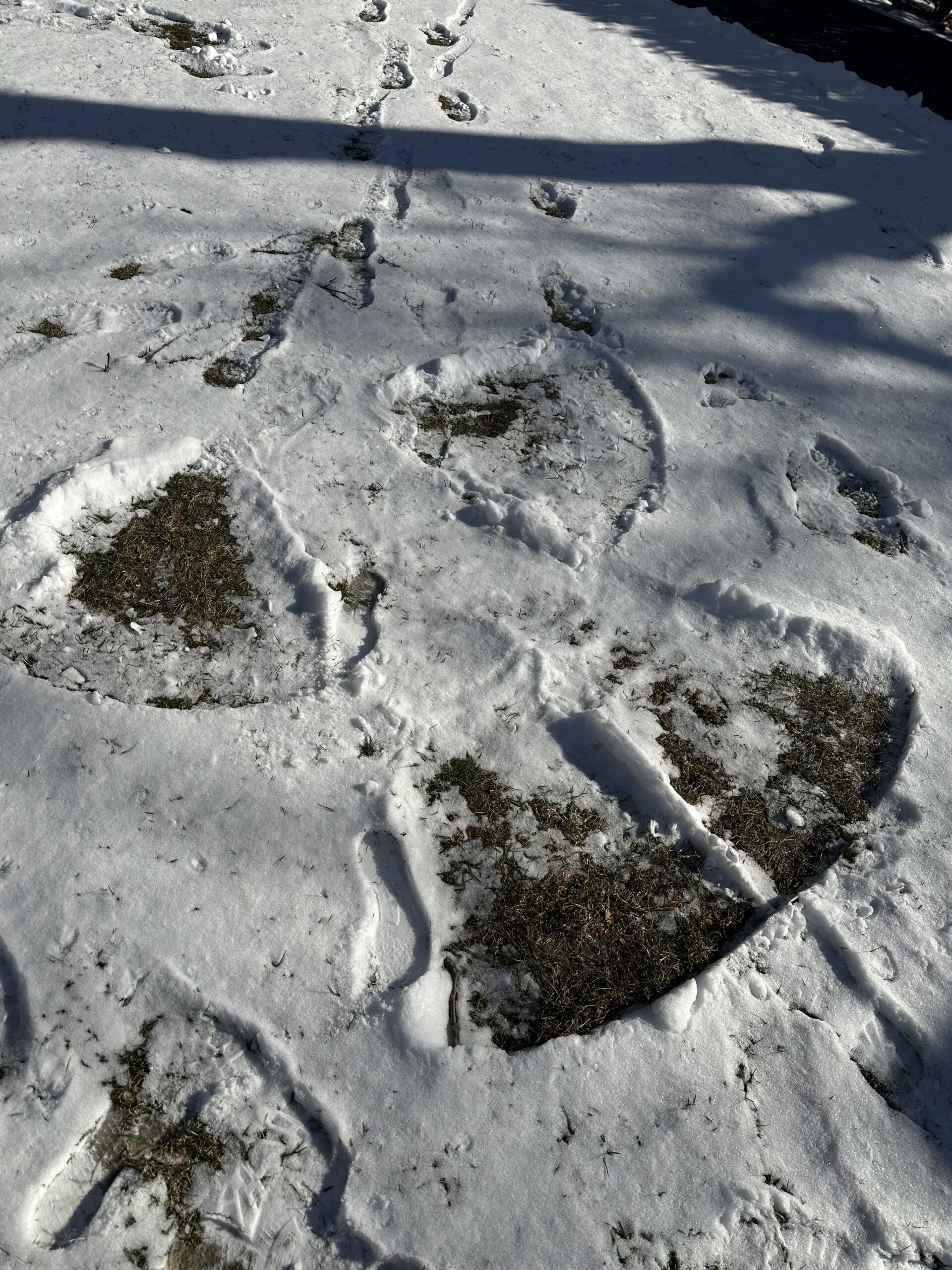 A snow angel