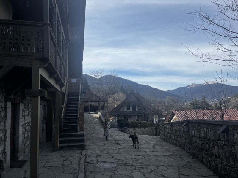 Scenic Village Path with Wooden Balconies – A stone-paved path winds through a quiet mountain village, flanked by wooden buildings with decorative balconies. A dog stands in the middle of the path, gazing down the road.
