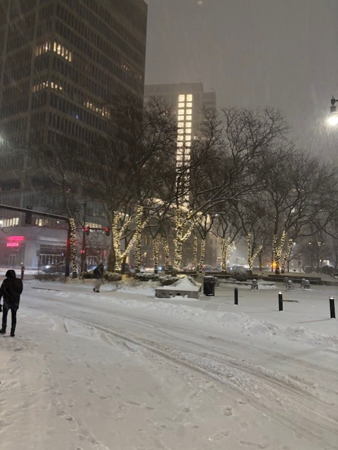 Snowy Central Station