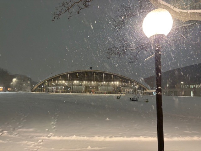Snow Kresge