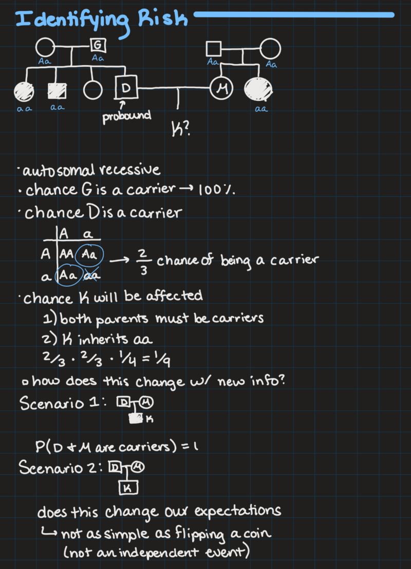 IPad notes from a genetics class on identifying risks with pedigrees.