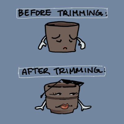 a drawing explaining what happens before and after trimming occurs during pottery