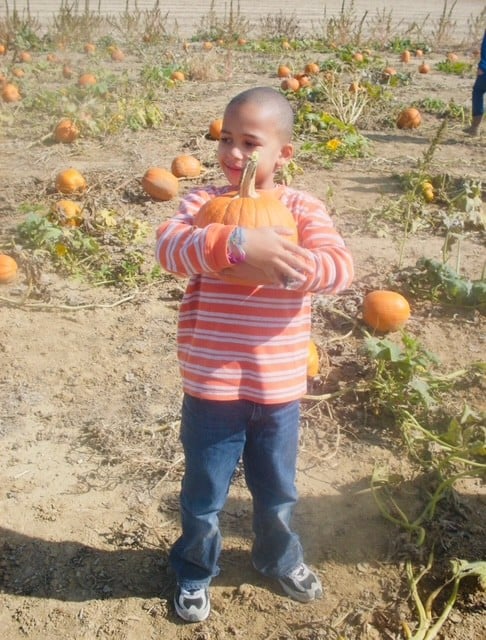 young young child kayode holding a pumpking in 2010.