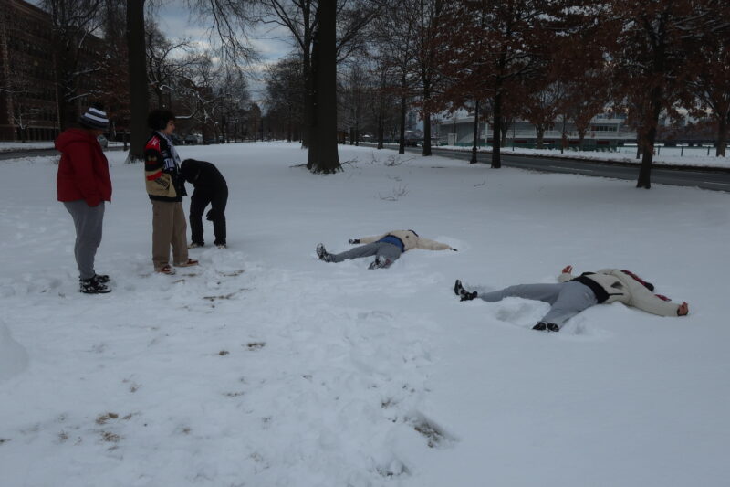 people making snow angels