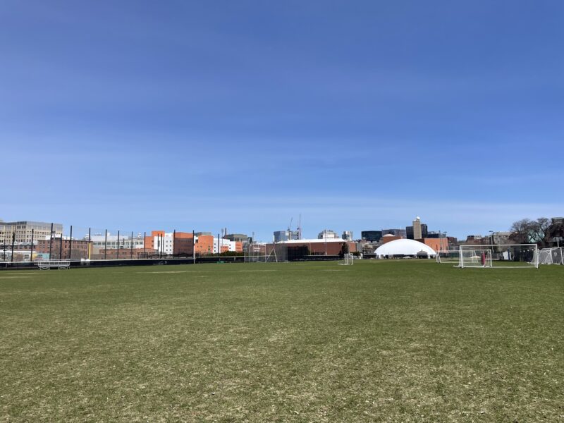 Wide expanse of grass fields.
