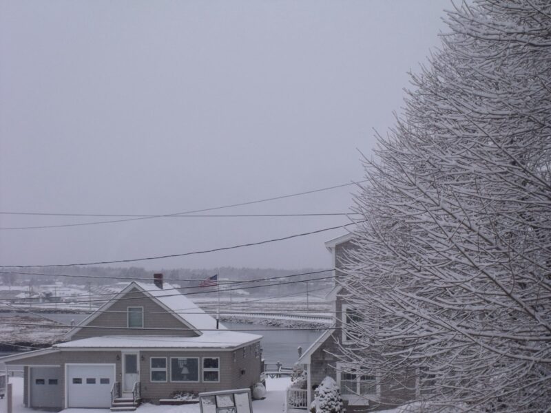 An overcast winter morning: leaf-bare tree branches coated in snow fill the right side of the frame, while a small gray shingled house with a white roof and attached garage sits beside a calm inlet. Power lines crisscross the scene, and a distant American flag flutters faintly above the shoreline.