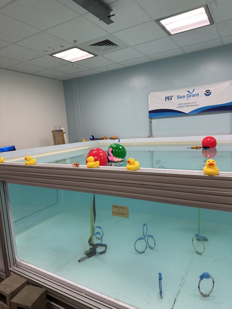 A big tank of water filled with underwater rings and buoys. Rubber ducks line the tank's edges