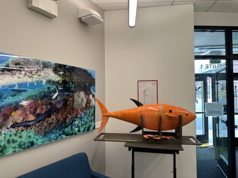 A large decorative fish on a table next to a picture of a coral reef on the wall