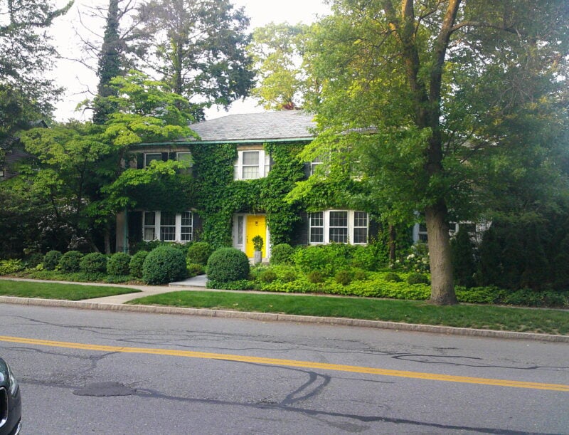 Photo of a house covered in foliage