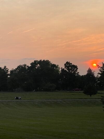 A burning sunset scene over a field of grass