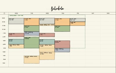 a page showing a weekly class schedule