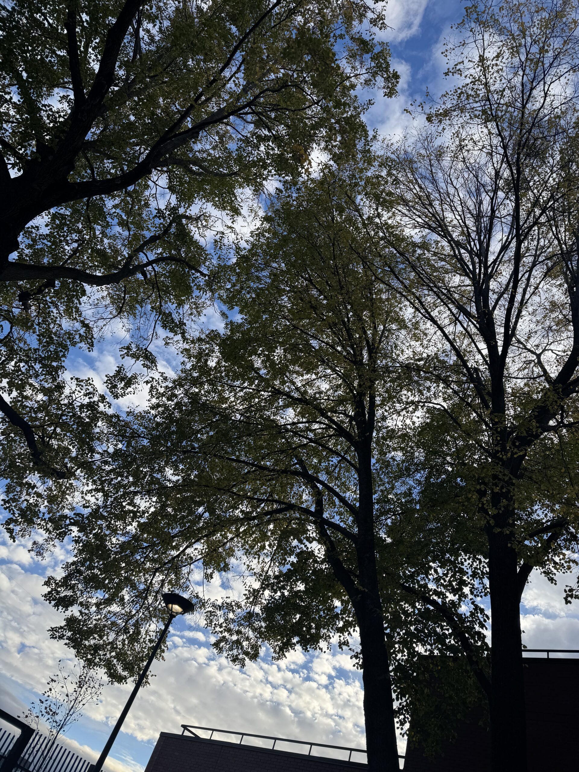 New Year Resolutions in Fall