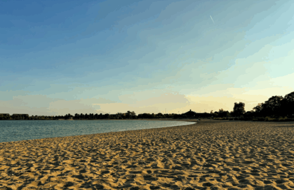 late afternoon beach and bay, with distant silhouettes of trees