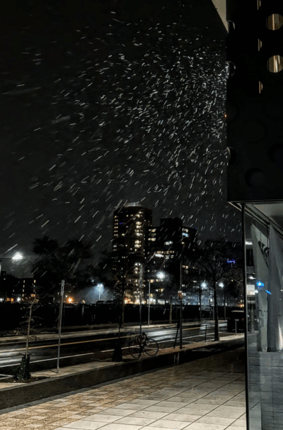 near front entrance of simmons, with shower of snow illuminated by street lighting