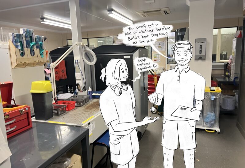 later that summer, andy suggests i drink terrible british beer