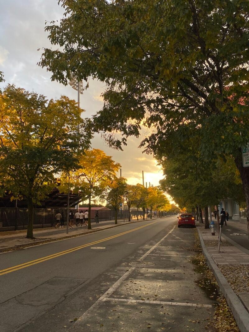 vassar street in the evening