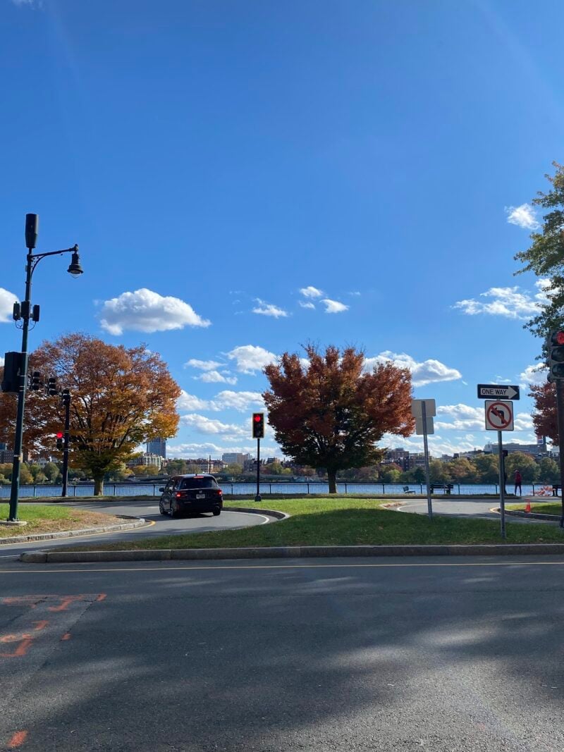 trees by the charles river! pretty foliage