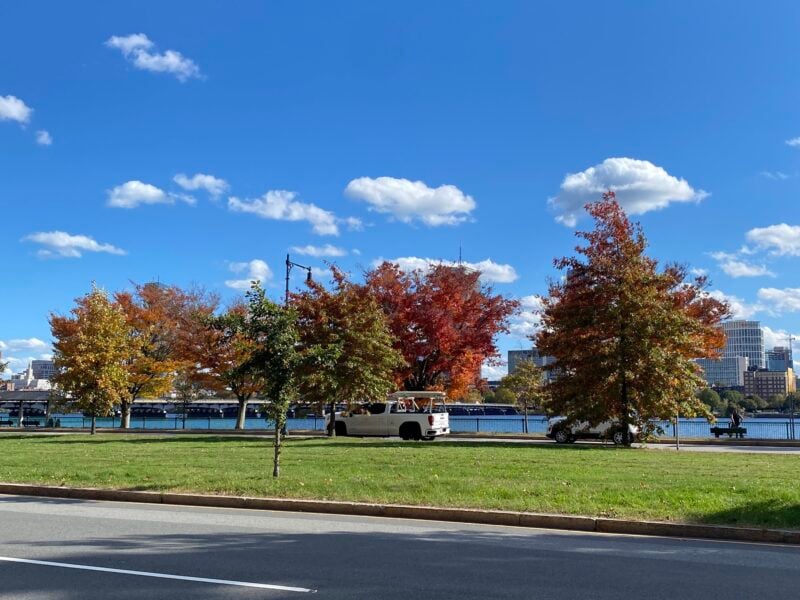 trees by the charles river! pretty foliage