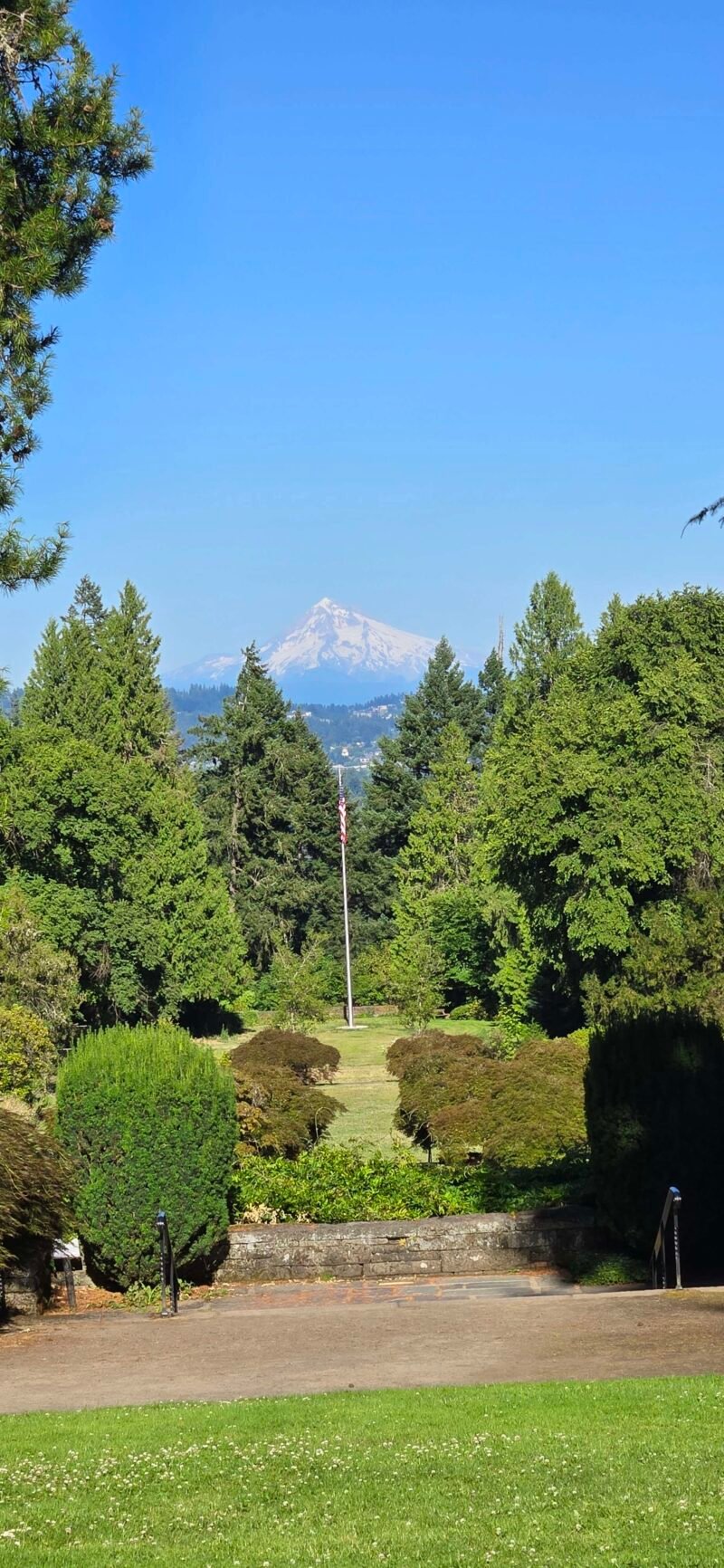 picture of mt hood from lewis and clark