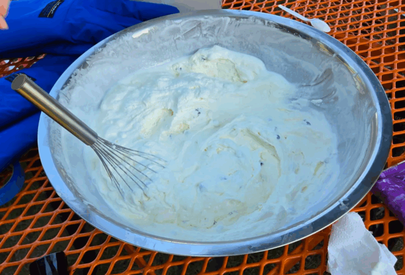 mint chocolate chip ice cream