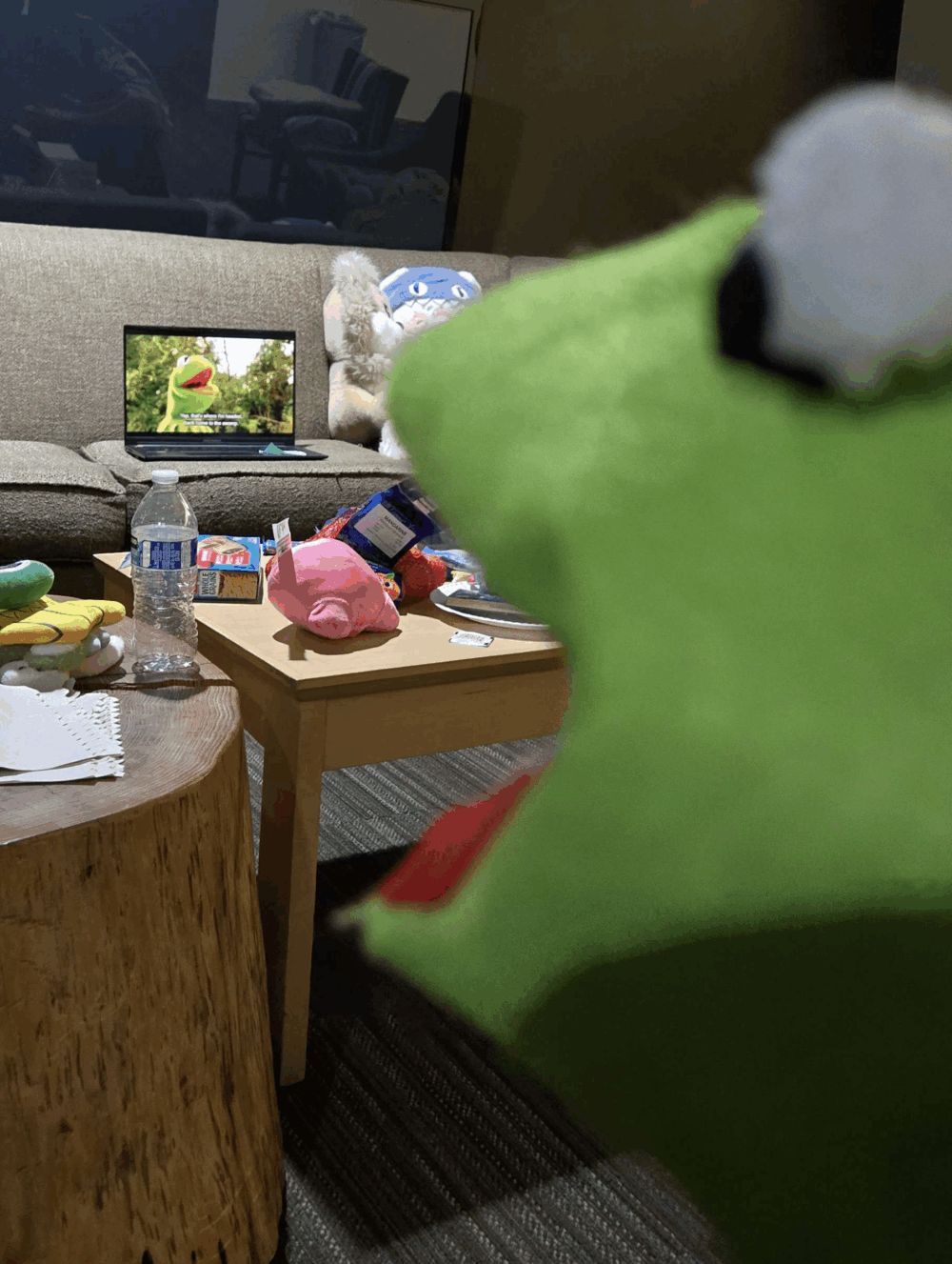 kermit reacting to on-screen kermit