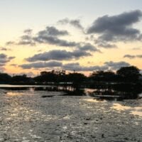 view of the esplanade at sunset, with MIT buildings in the background and a calm…