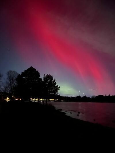 bright pink and green northern lights above trees
