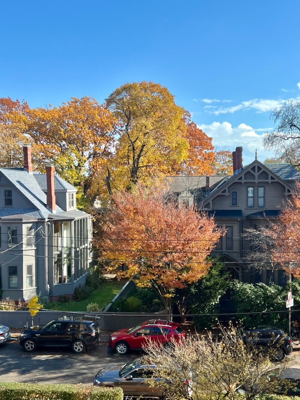 View of a Cambridge residential street from an apartment window.