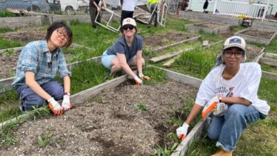 Students working in a garden bed.