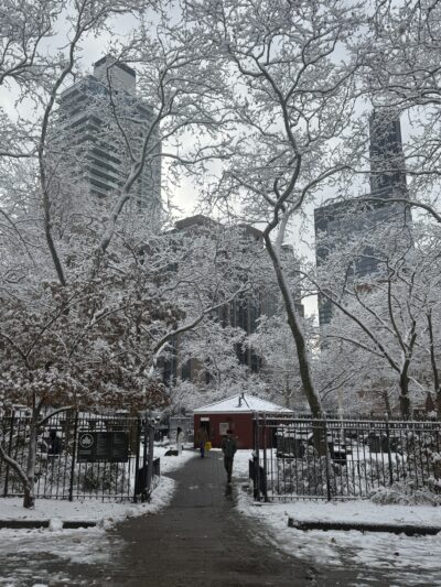 park in snow with snowy trees and skyscrapers in background