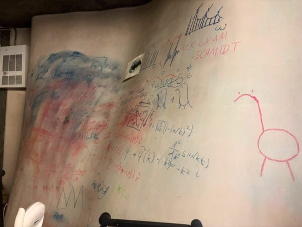 curved wall in a room with many chalk drawings of creatures and physics equations