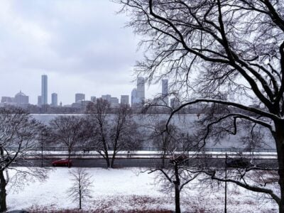 view of boston skyline in distance, partially obstructed by dead leafless trees with snow-covered field in foreground