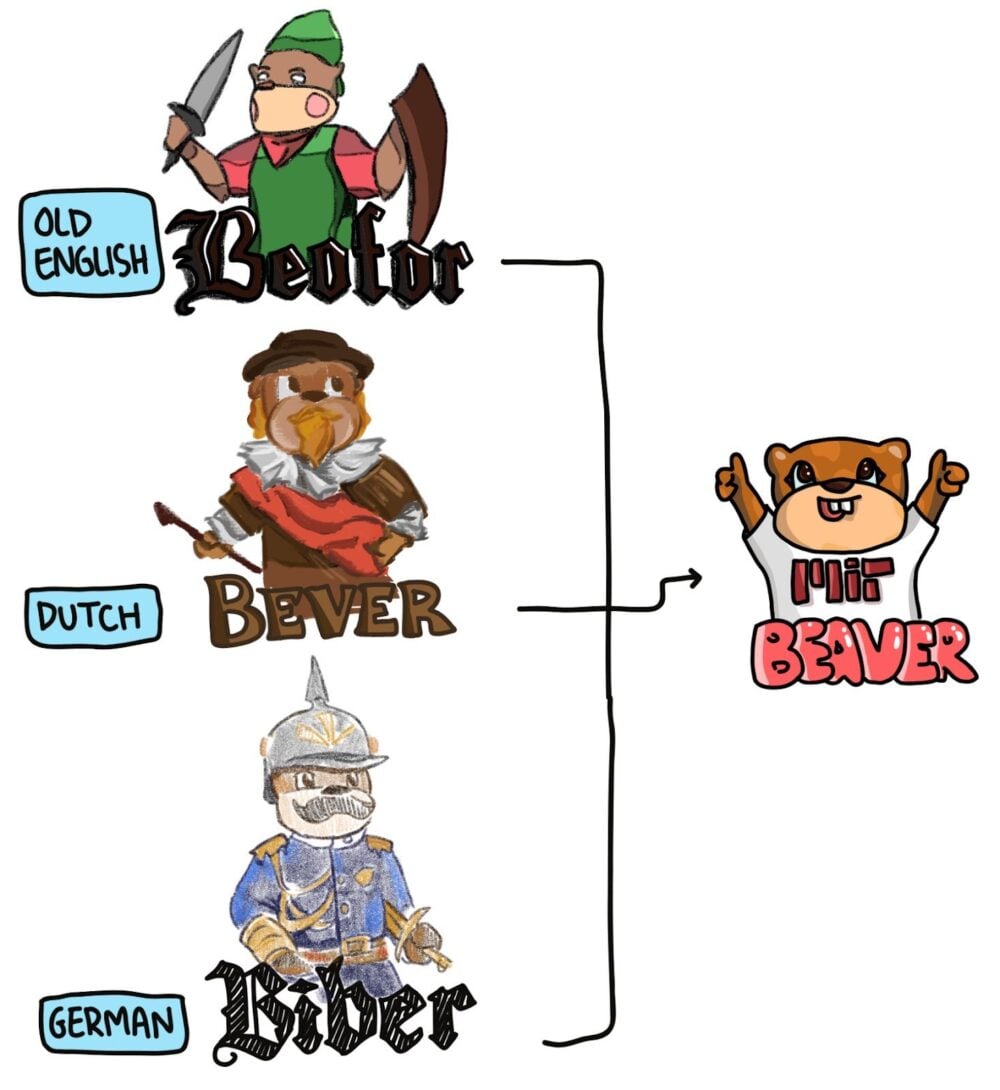 Old English Beofor, Dutch Bever, German Biber combining to make Beaver