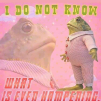 frog meme