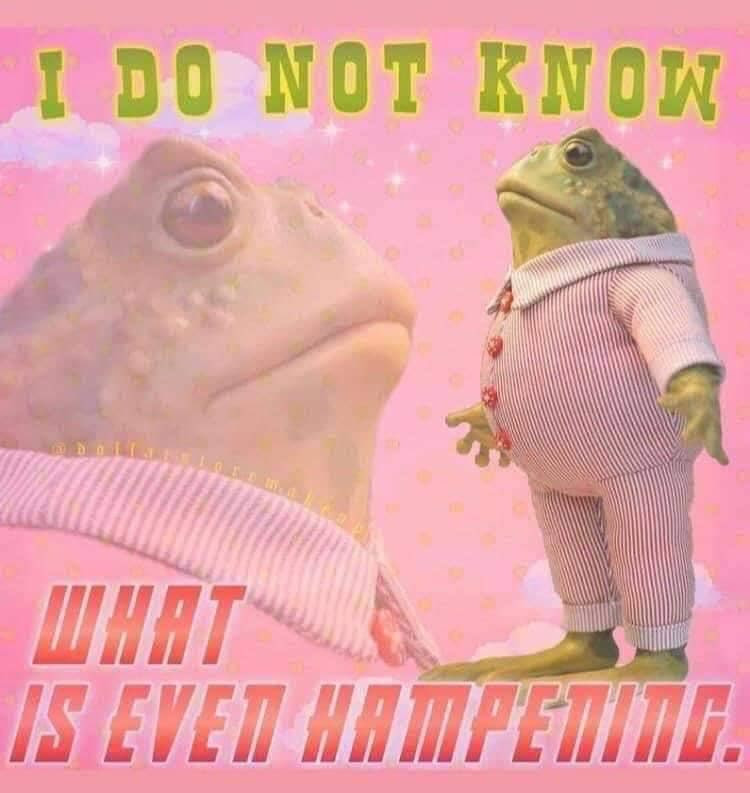 frog meme