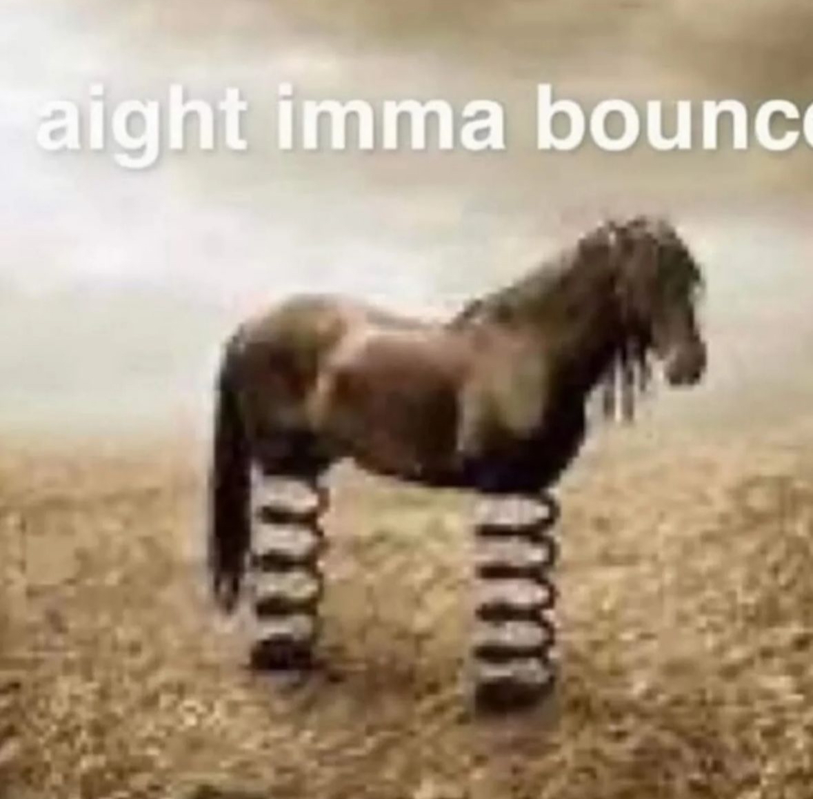 horse with springs replacing its legs on a wheat field with the text "aight imma bounce"